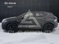 2022 Lexus NX200T