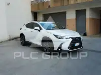 2022 Lexus NX450