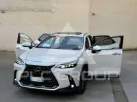 2022 Lexus NX450