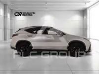 2022 Lexus NX200T