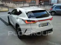 2022 Lexus NX450
