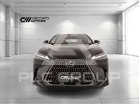 2022 Lexus NX200T