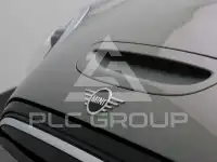 2022 Mini Unknown