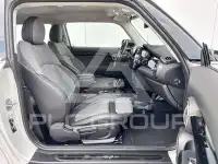 2022 Mini Unknown