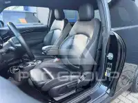2022 Mini Unknown