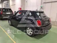 2022 Mini Unknown