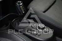 2022 Mini Unknown