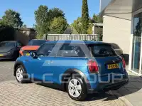 2022 Mini Unknown