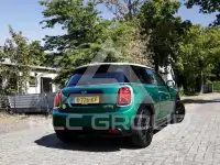 2022 Mini Unknown