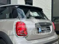 2022 Mini Unknown