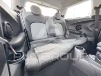 2022 Mini Unknown