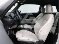 2022 Mini Unknown