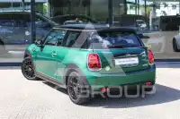 2022 Mini Unknown