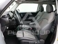 2022 Mini Unknown