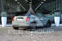 2022 Mini Unknown