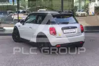2022 Mini Unknown