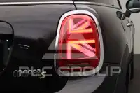 2022 Mini Unknown