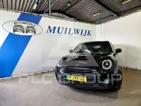 2022 Mini Unknown