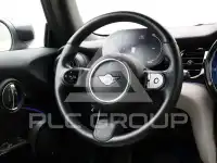 2022 Mini Unknown