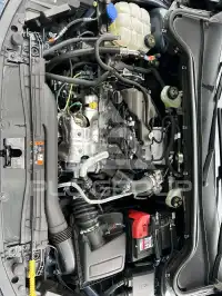 2022 Ford FOCUS