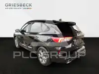 2022 Ford Kuga