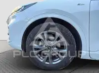 2022 Ford Kuga