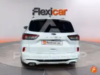 2022 Ford Kuga