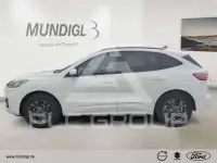 2022 Ford Kuga
