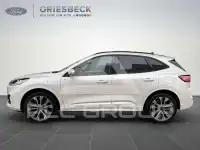 2022 Ford Kuga