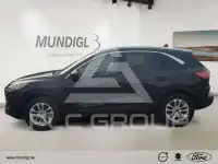 2022 Ford Kuga