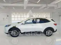 2022 Ford Kuga