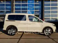 2022 Ford Tourneo