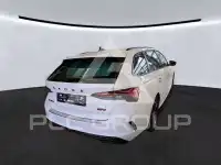 2023 Skoda Octavia
