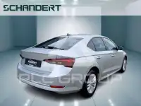 2023 Skoda Octavia