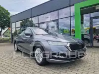 2023 Skoda Octavia
