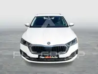 2023 Skoda Octavia