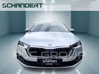 2023 Skoda Octavia