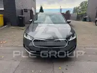 2023 Skoda Octavia
