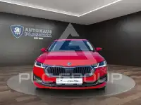 2023 Skoda Octavia