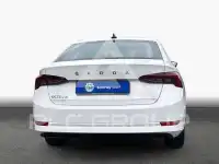 2023 Skoda Octavia