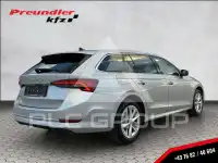 2023 Skoda Octavia