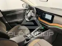 2023 Skoda Octavia