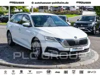 2023 Skoda Octavia