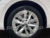 2023 Skoda Octavia