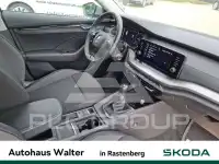 2023 Skoda Octavia