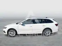 2023 Skoda Octavia