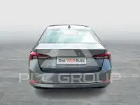2023 Skoda Octavia