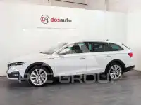 2023 Skoda Octavia