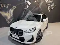2023 BMW X1