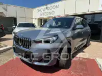 2023 BMW X1